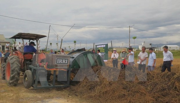 Vietnam aims to use organic fertiliser for 50% of cultivation area by 2050 hinh anh 1