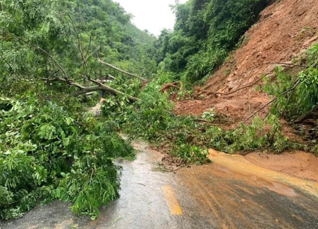 Int’l organisations continue early action support for Vietnam to reduce disaster risks hinh anh 1