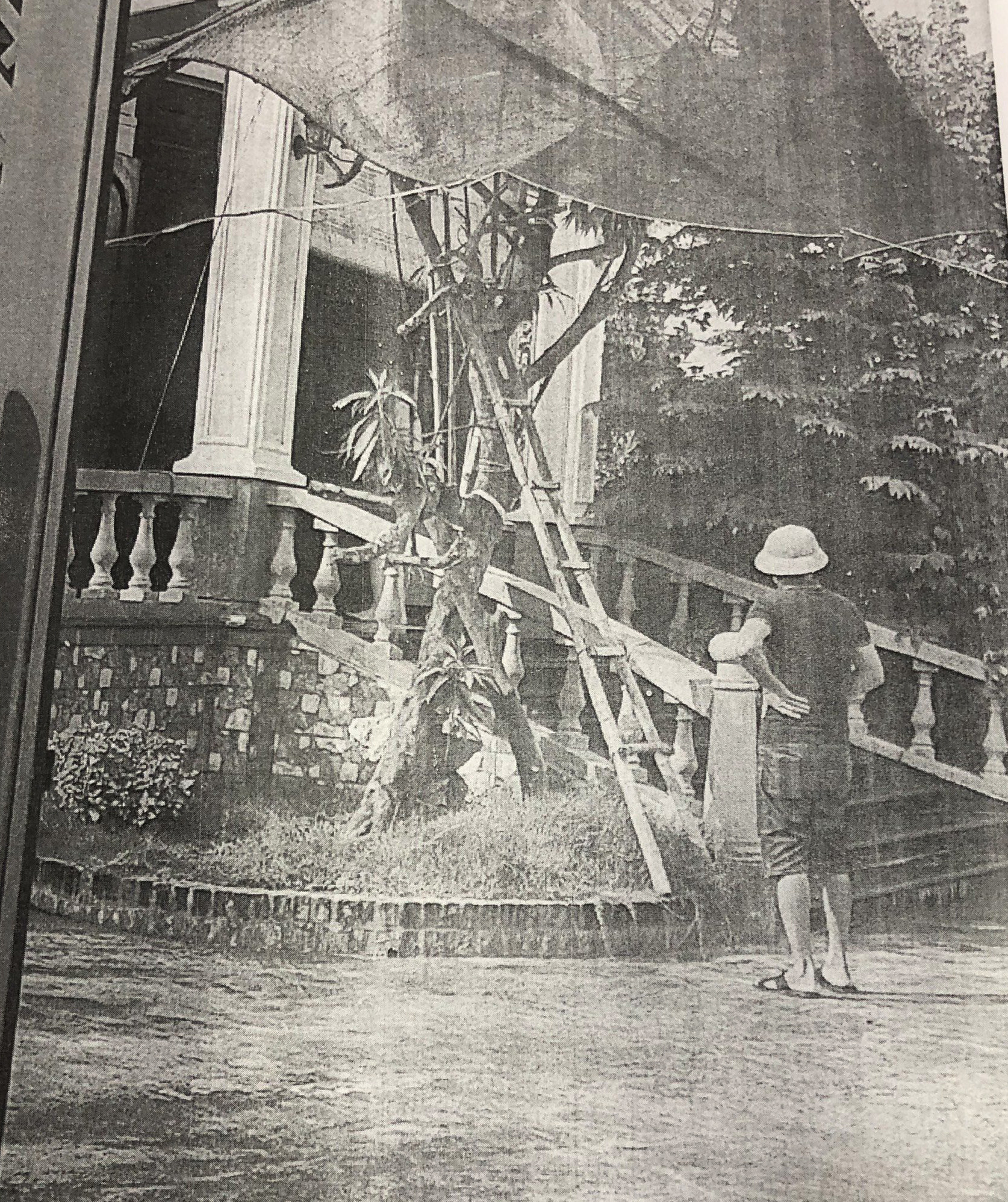 z4962979436625 93860708346aa37a2d3d63d3cc4b7017.jpg