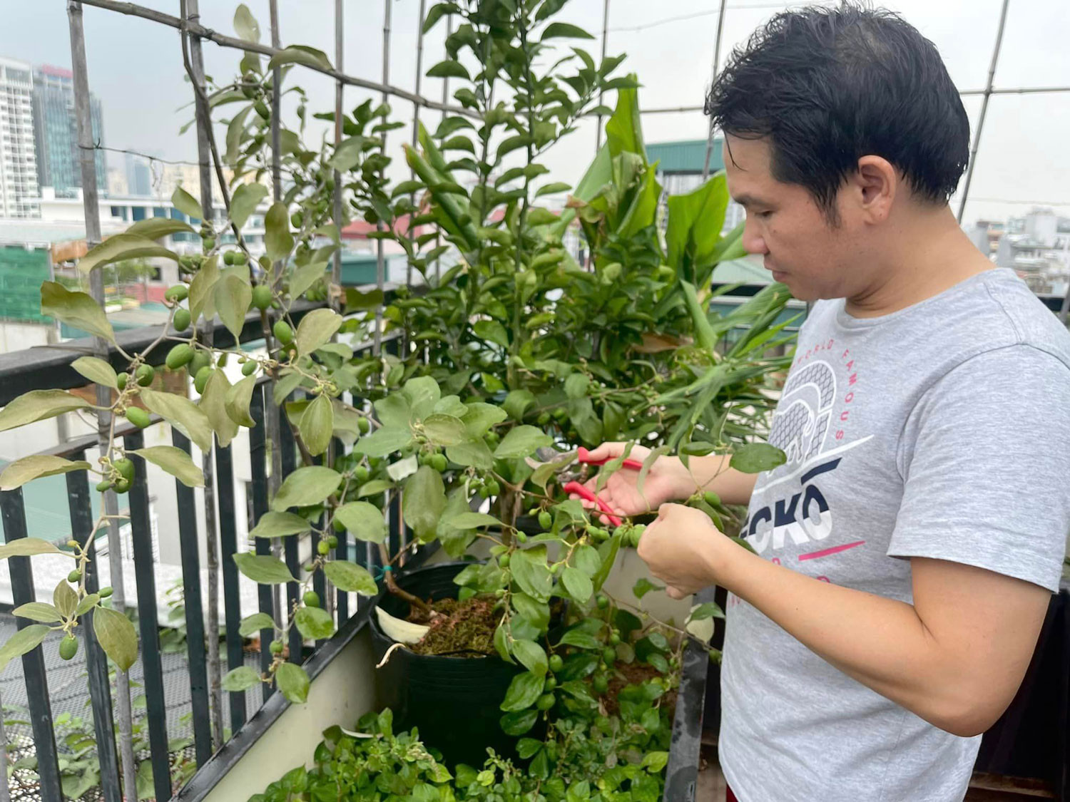 315359823 2612393968900451 2220005973245856790 n.jpg