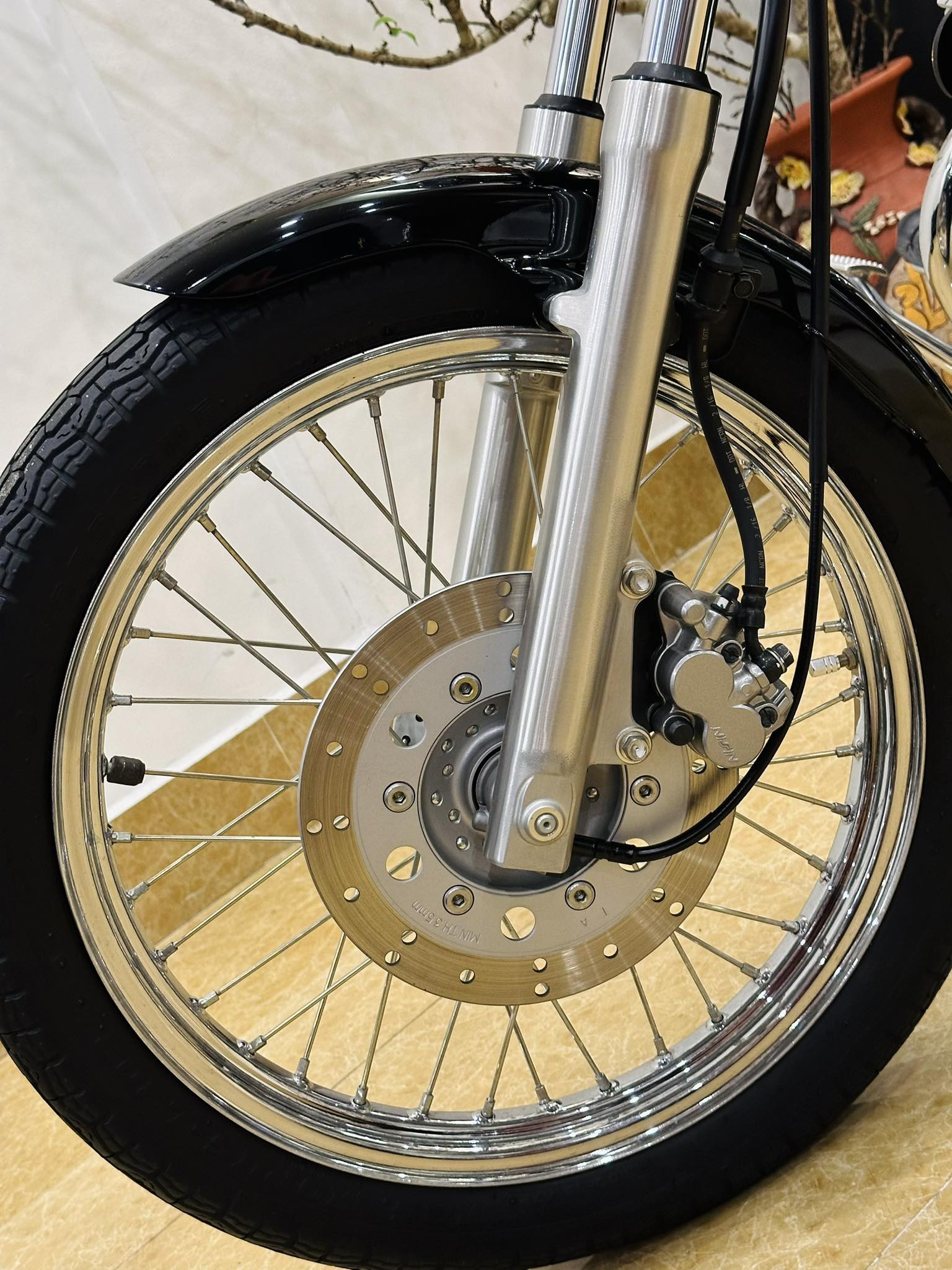 370280922 334553485994830 8524008510063648428 n.jpg