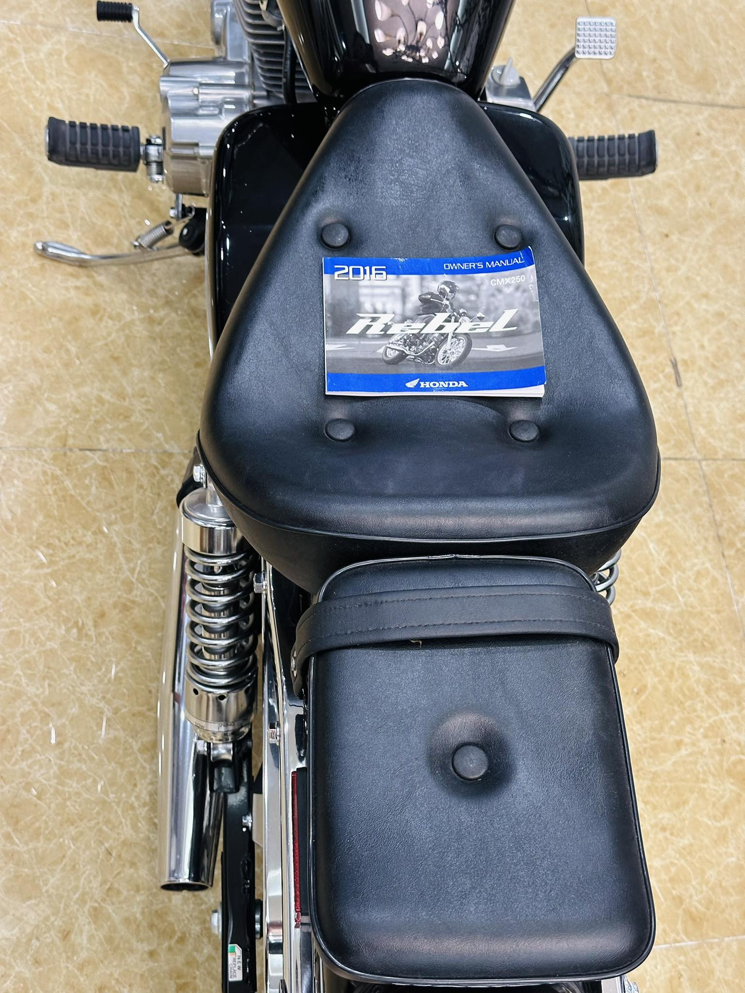 386843034 796054755621811 7037549594398992510 n.jpg