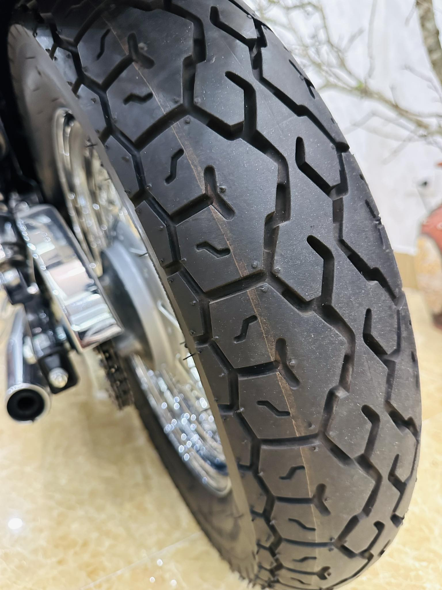 406245064 890631409105232 3178139608691783507 n.jpg