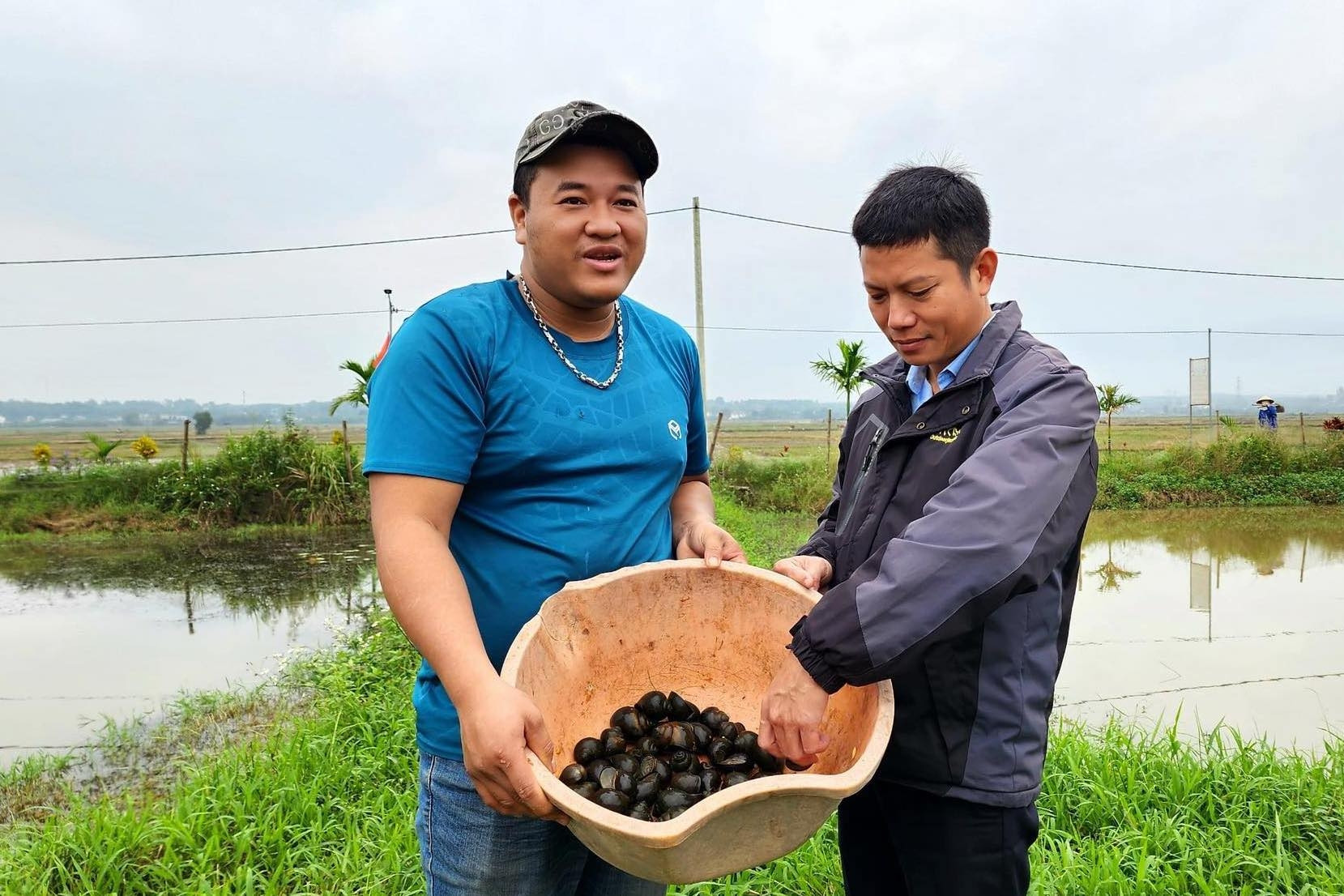 Kỹ sư về làng nuôi ốc bươu đen, lãi vài trăm triệu mỗi năm