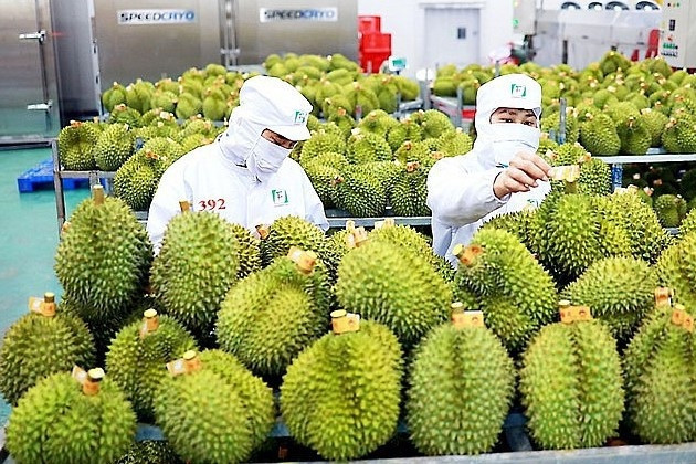 Vietnam-China economic cooperation developing well