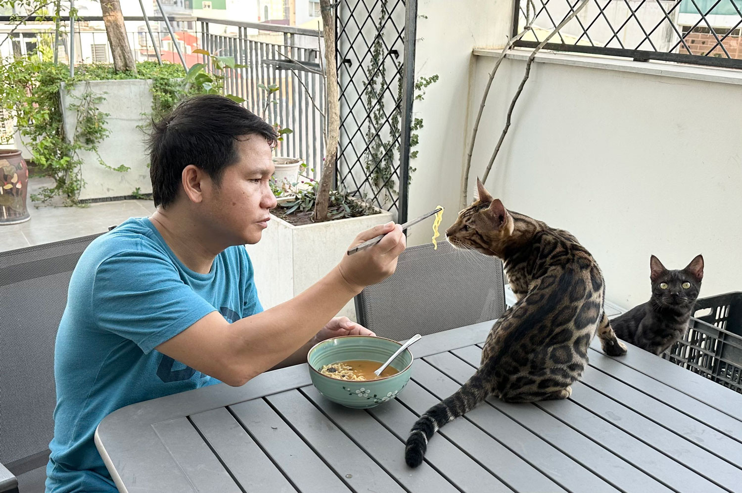 z4966643095207 261d845f49c9e1ccebb1df6c01da2676.jpg