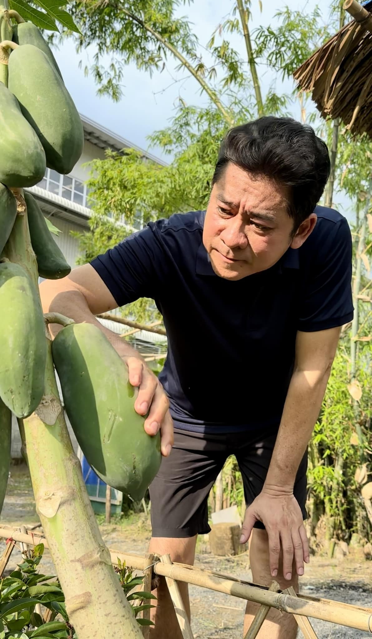 387746261 170596112766018 4349009902323269705 n.jpg