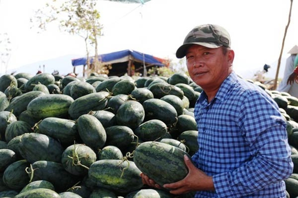 Bản tin kinh tế 13/12: Dưa hấu 'lấy visa' sang Trung Quốc; bầu Đức trả nợ