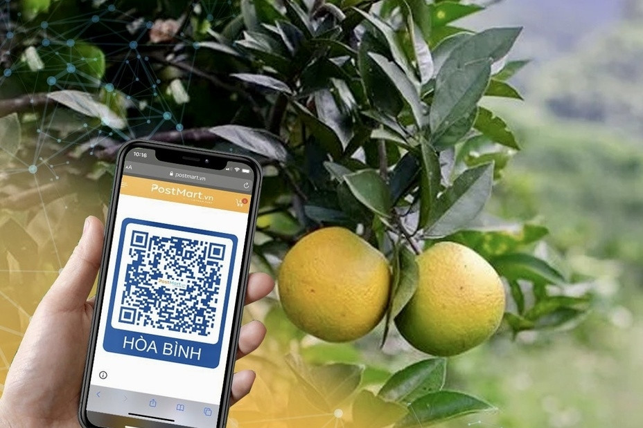 Hòa Bình đẩy mạnh tuyên truyền về chuyển đổi số cho các Hợp tác xã