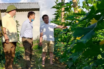 Lai Châu lan tỏa phong trào thi đua chung sức xây dựng nông thôn mới