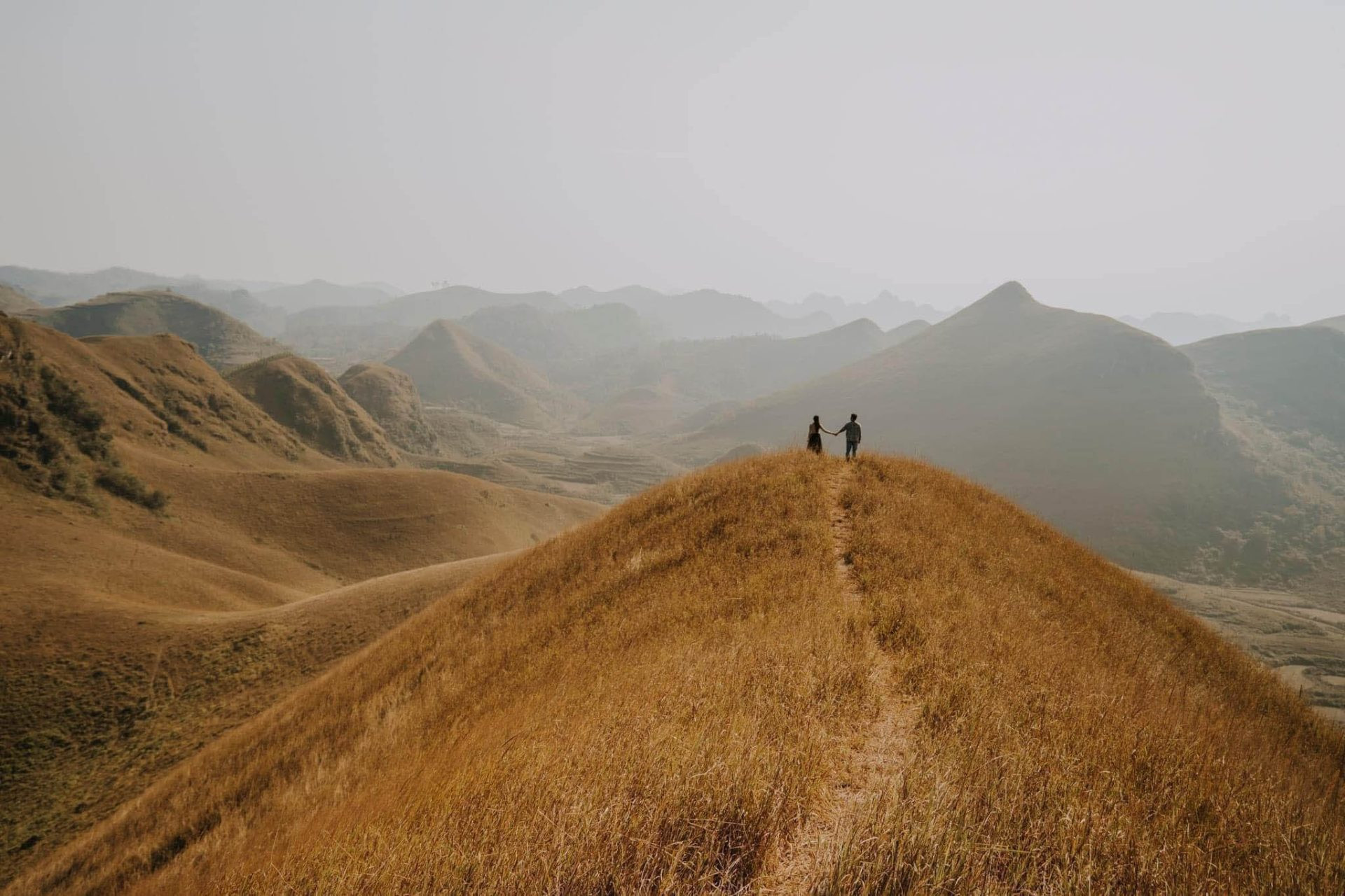 phuong hoang 1 1920x1280 1.jpg