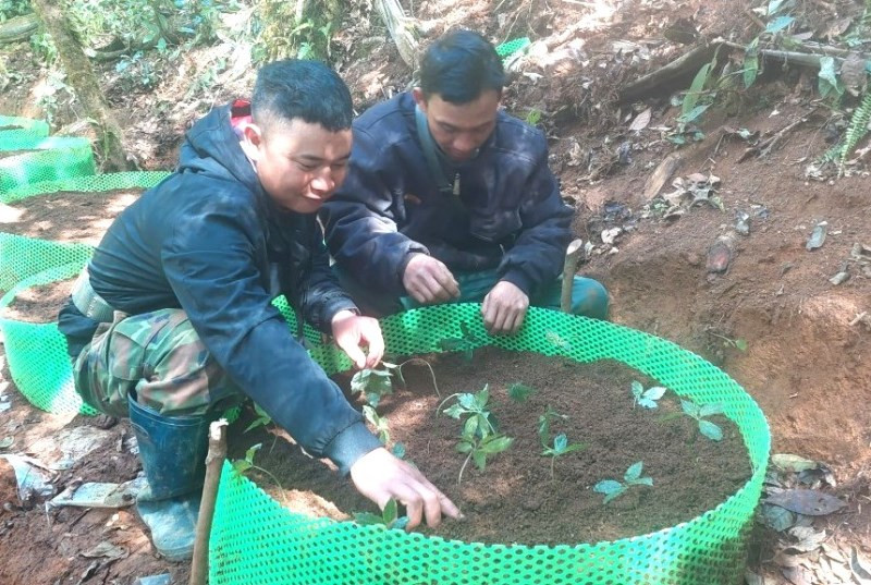 sam thu tuong 3.jpg