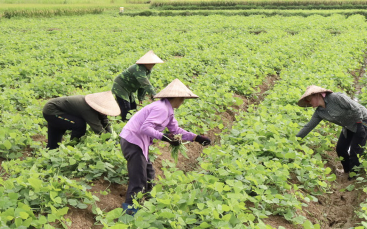 anh chup man hinh 2023 12 11 luc 092224.png