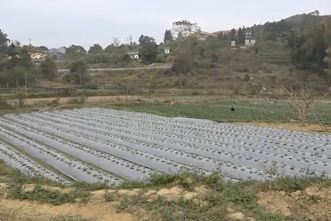 Tình hình kinh tế - xã hội những tháng đầu năm 2024 tiếp tục chuyển biến tích cực