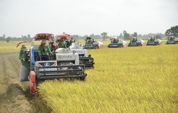 Xuất khẩu gạo Việt Nam dự kiến ​​đạt 5 tỷ USD trong năm nay