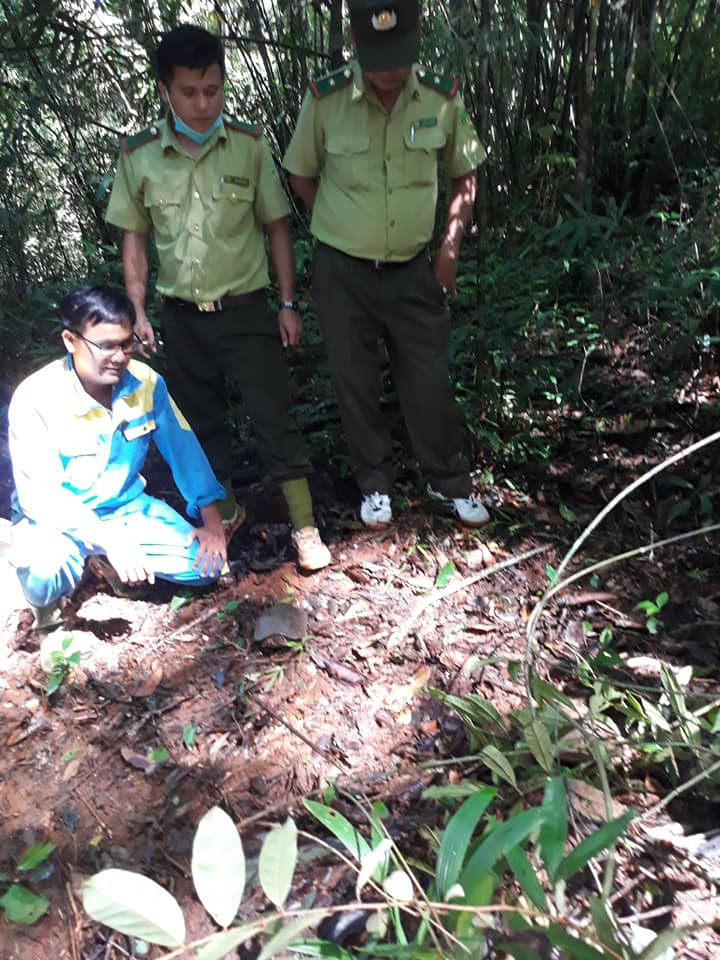 201329247 4084424598338768 3509392552189399360 n.jpg