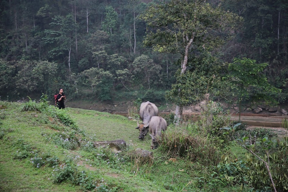 Đẩy mạnh tuyên truyền, vận động chống di cư tự phát