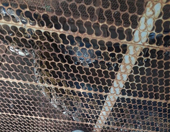 dng vat hyoang da.png