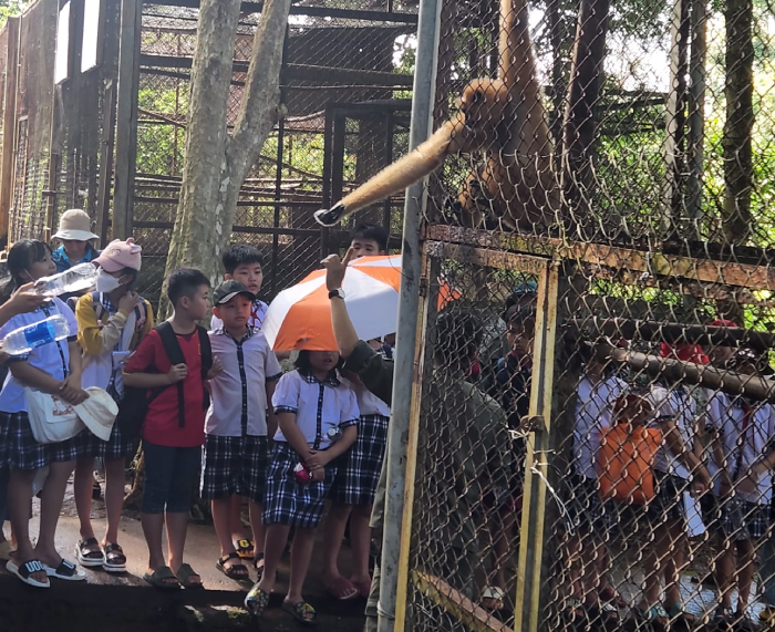 dong vat hoang da 3.png