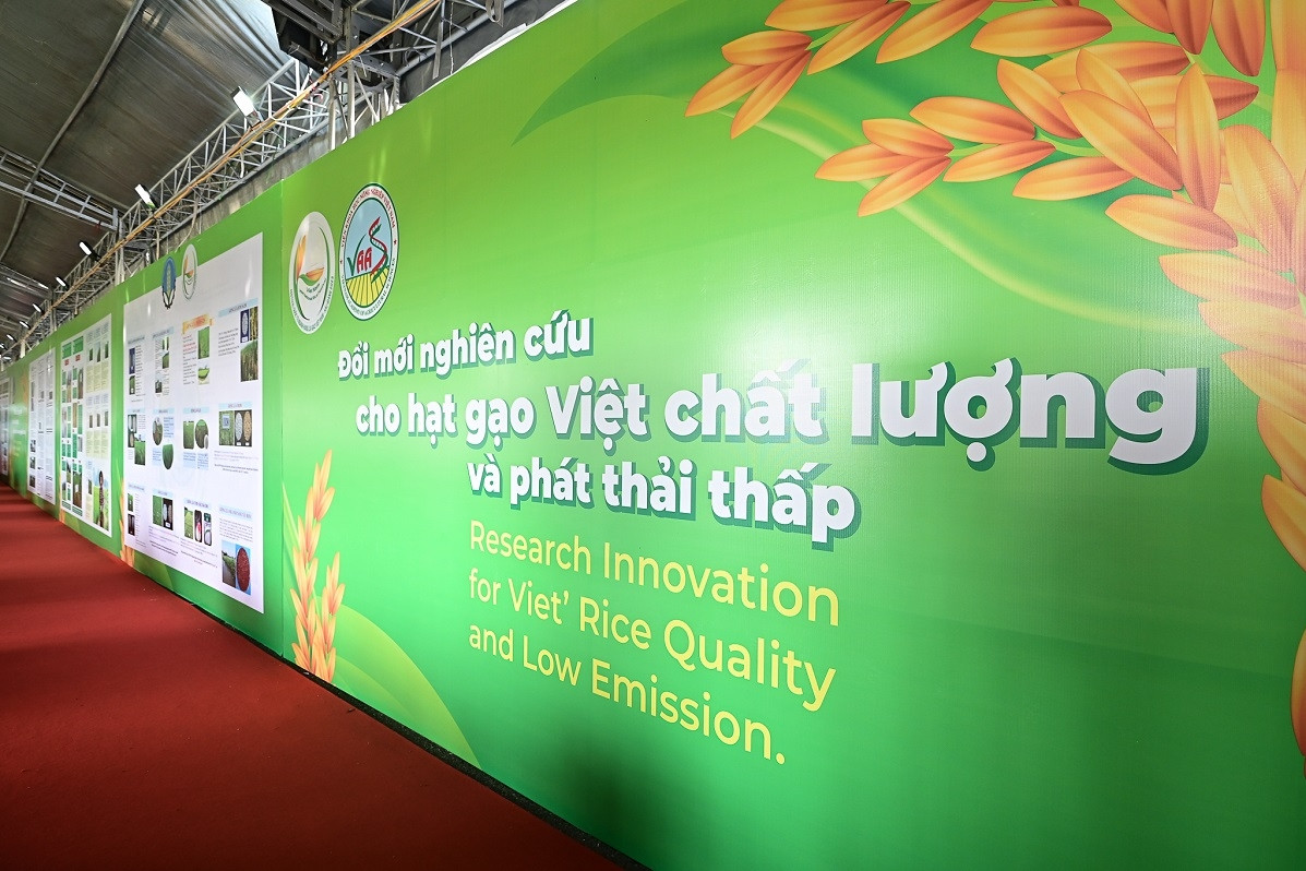 Giúp hợp tác xã nông nghiệp nâng cao năng lực thích ứng biến đổi khí hậu