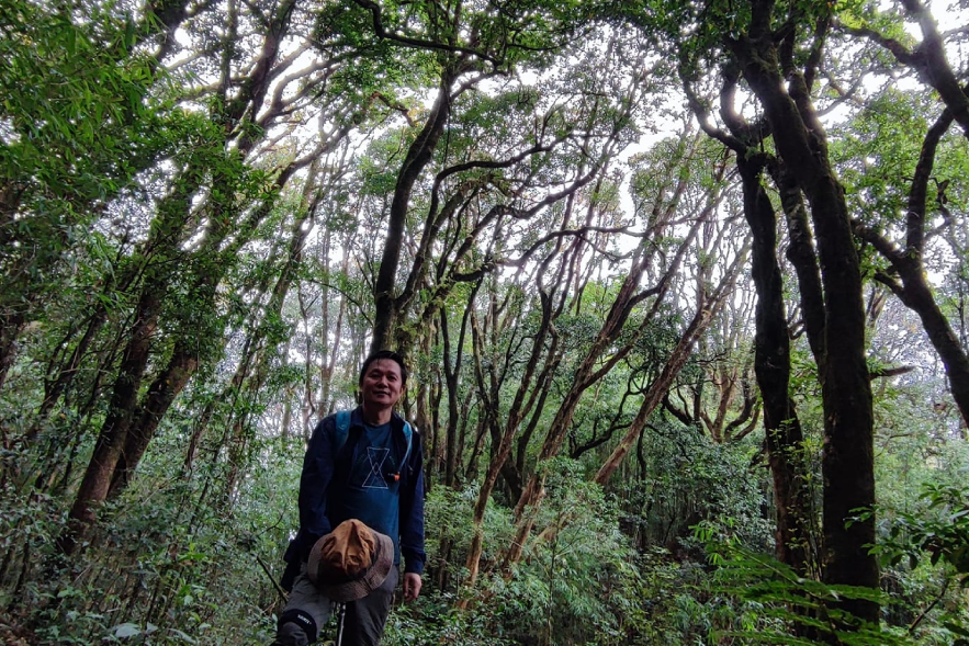 lung cung yen bai.png