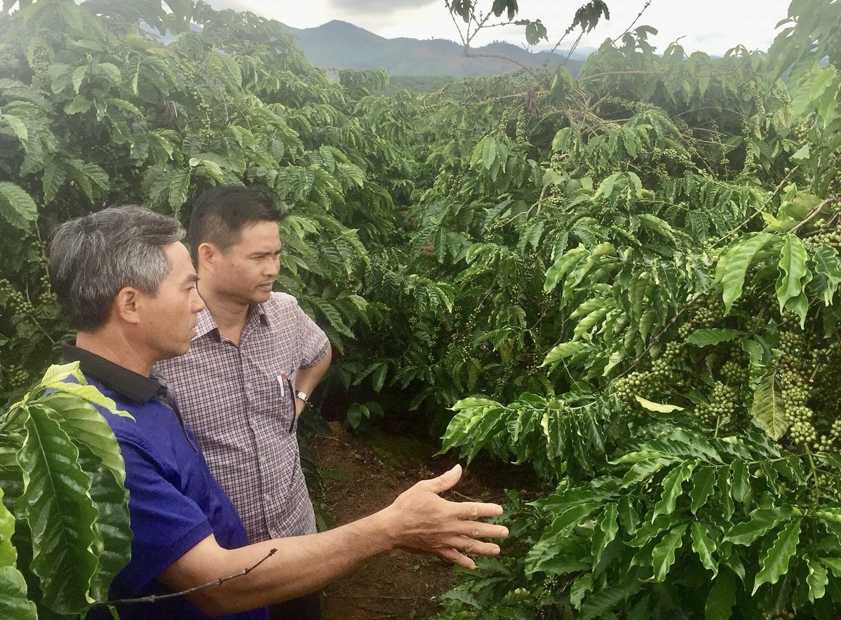 nông nghiệp kontum.jpg