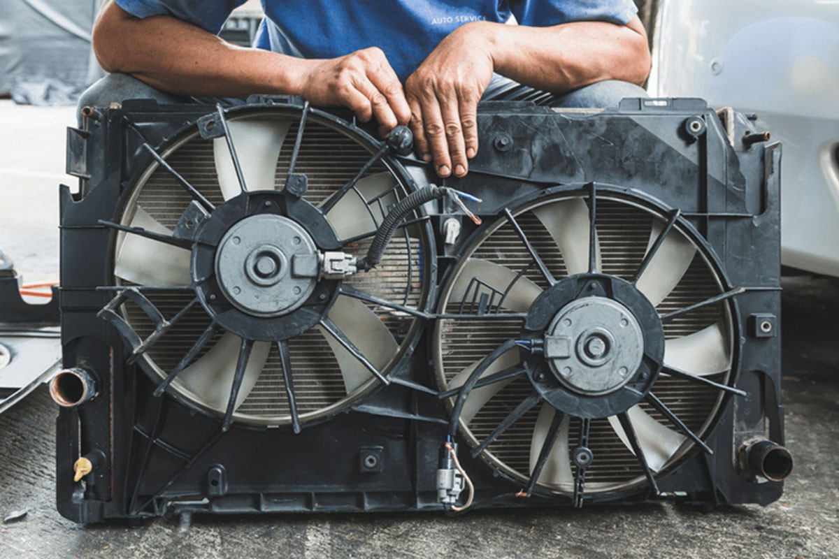 quat tan nhiet dong co 3.jpg