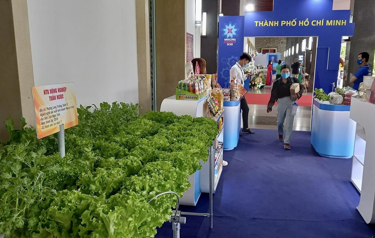 Rau sạch Tuấn Ngọc.jpg