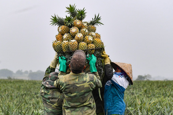 'Chữ tín' để nông sản Việt 'vững chân' ở thị trường Trung Quốc