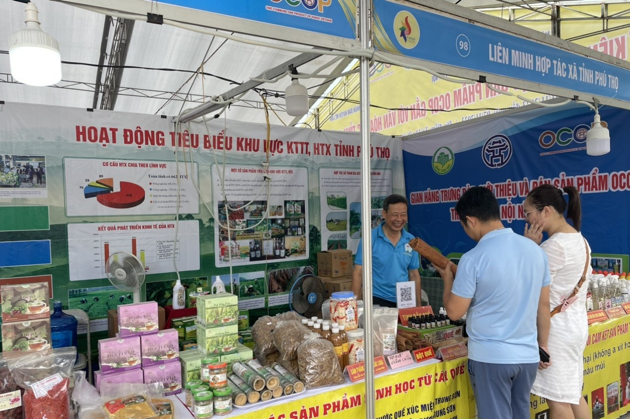 Phú Thọ hỗ trợ các hợp tác xã quảng bá sản phẩm