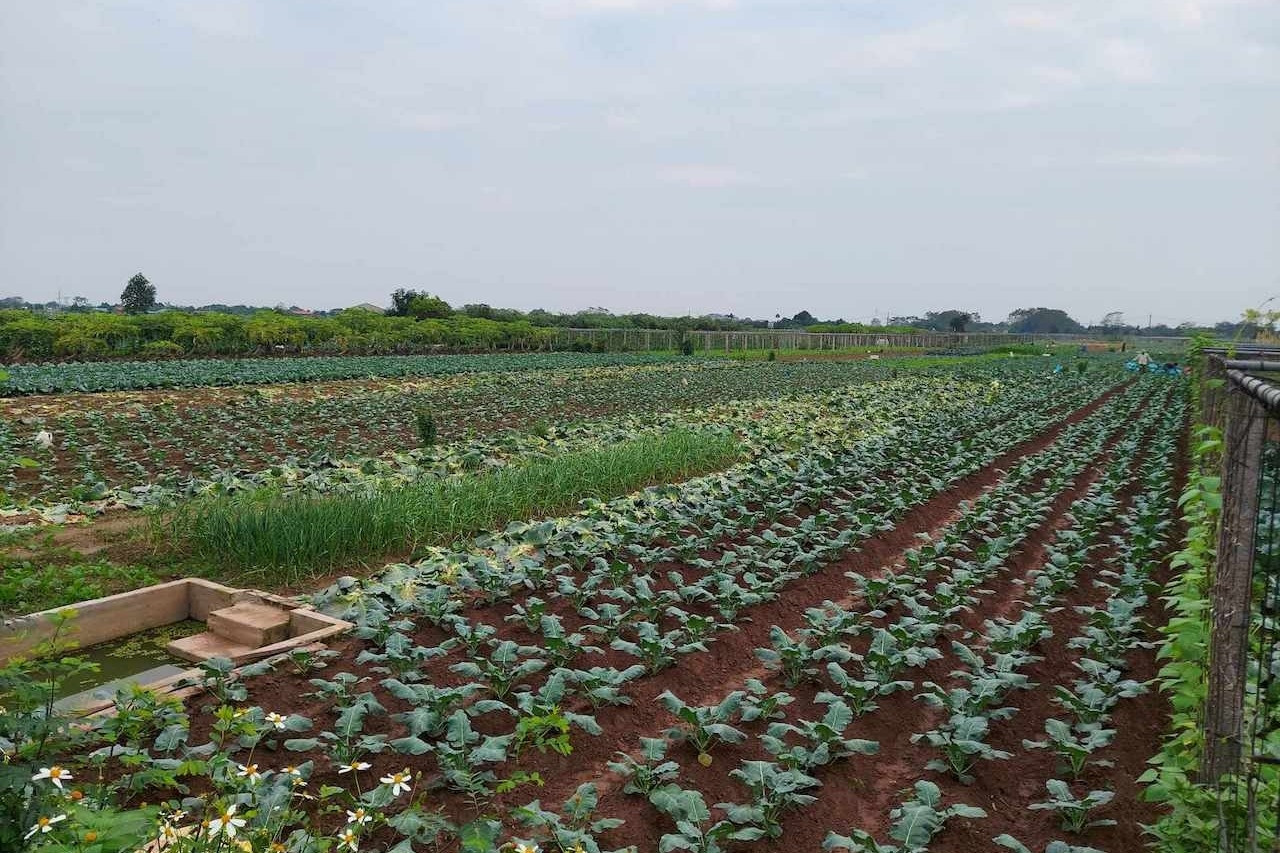 Hải Dương phân bổ vốn xây dựng nông thôn mới