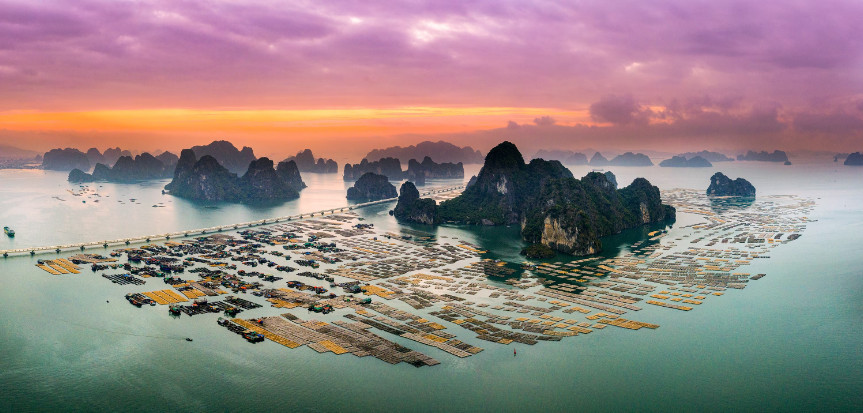 happy vietnam 2023.jpg