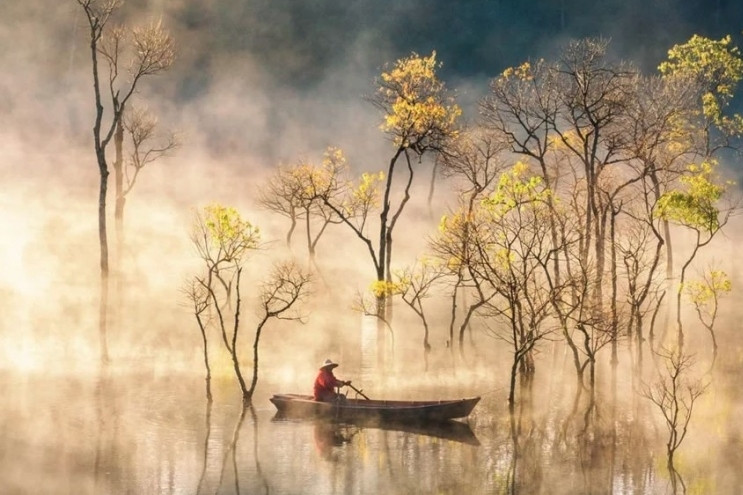 Local photographers among top 10 finalists of ViewSonic ColorPro