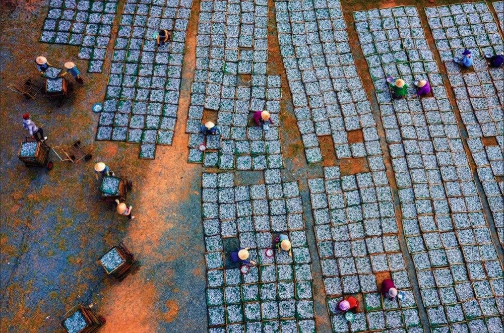 local photographers among top 10 finalists of viewsonic colorpro picture 2