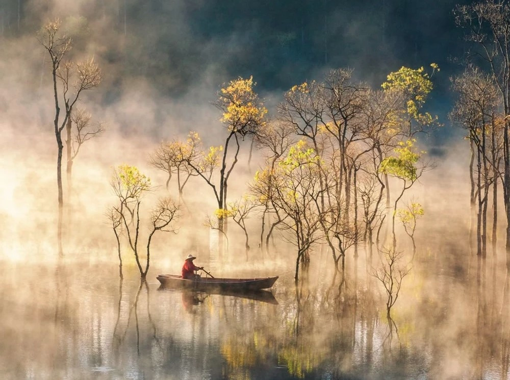 local photographers among top 10 finalists of viewsonic colorpro picture 3