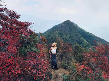 ﻿Conquering the majestic Ta Xua Peak