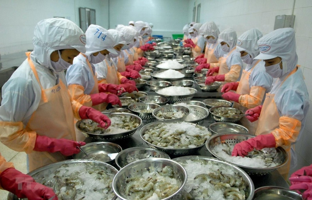 vietnam emerges as largest shrimp supplier to rok market picture 1