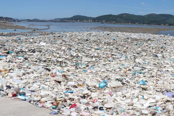 VN accelerating efforts to mitigate plastic pollution through NPAP operation
