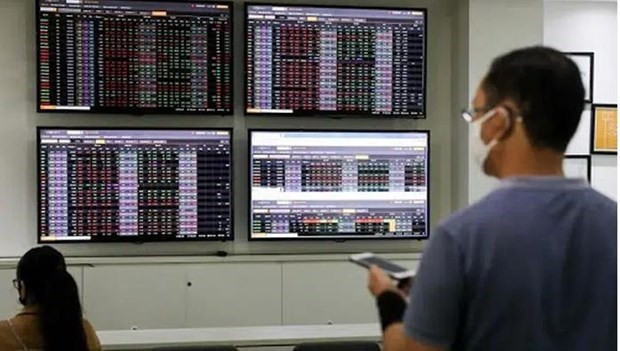 Experts suggest measures to lure investment in securities market hinh anh 1