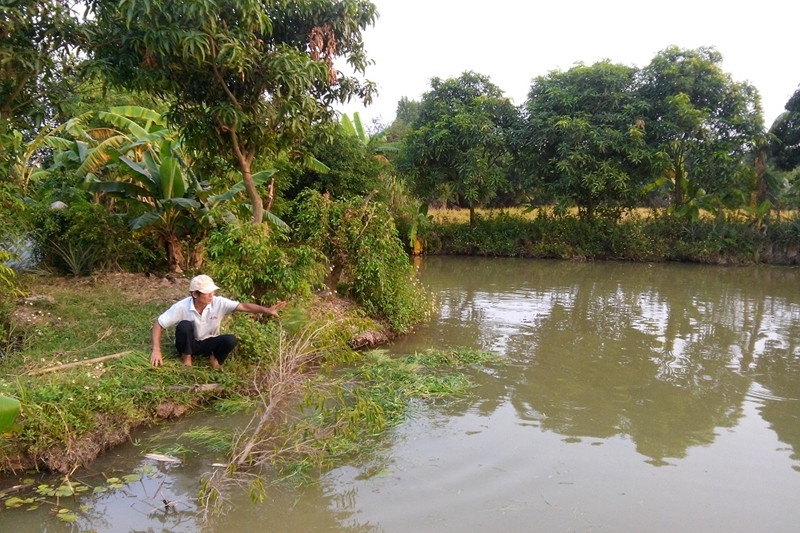 Hưng Yên: Chuyển đổi số thúc đẩy kinh tế hợp tác xã phát triển