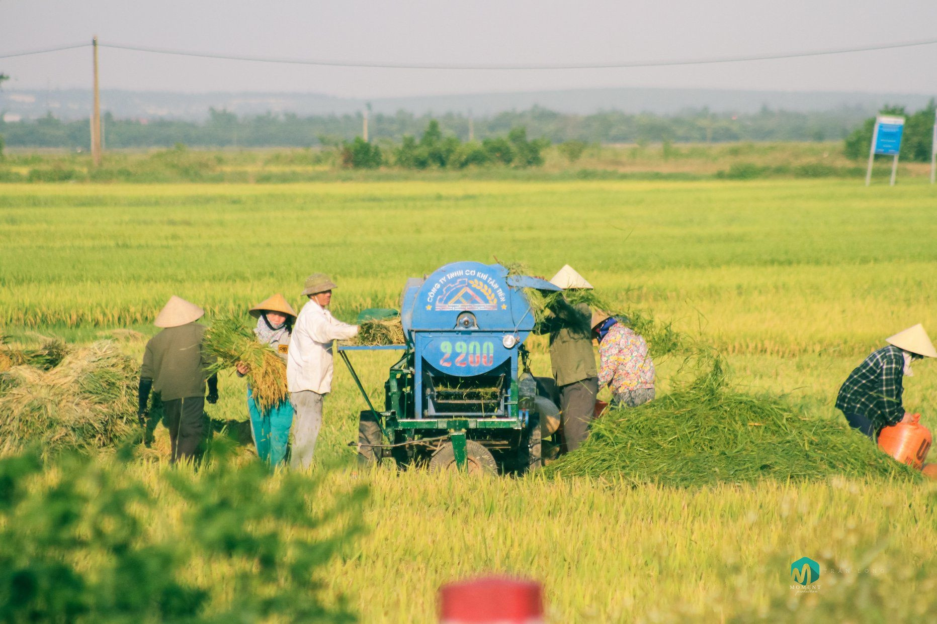 Huyện Lệ Thuỷ, Quảng Bình: Phát huy vai trò của kinh tế tập thể