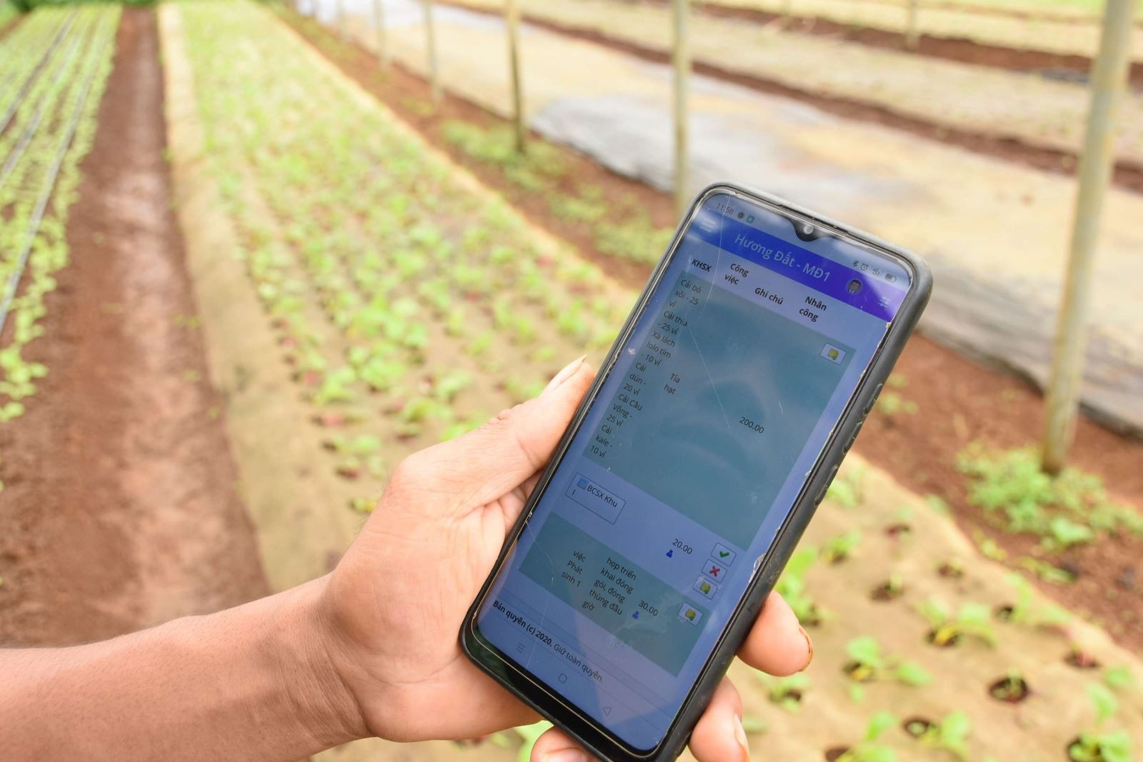 Nhiều HTX đẩy mạnh ứng dụng công nghệ số vào sản xuất