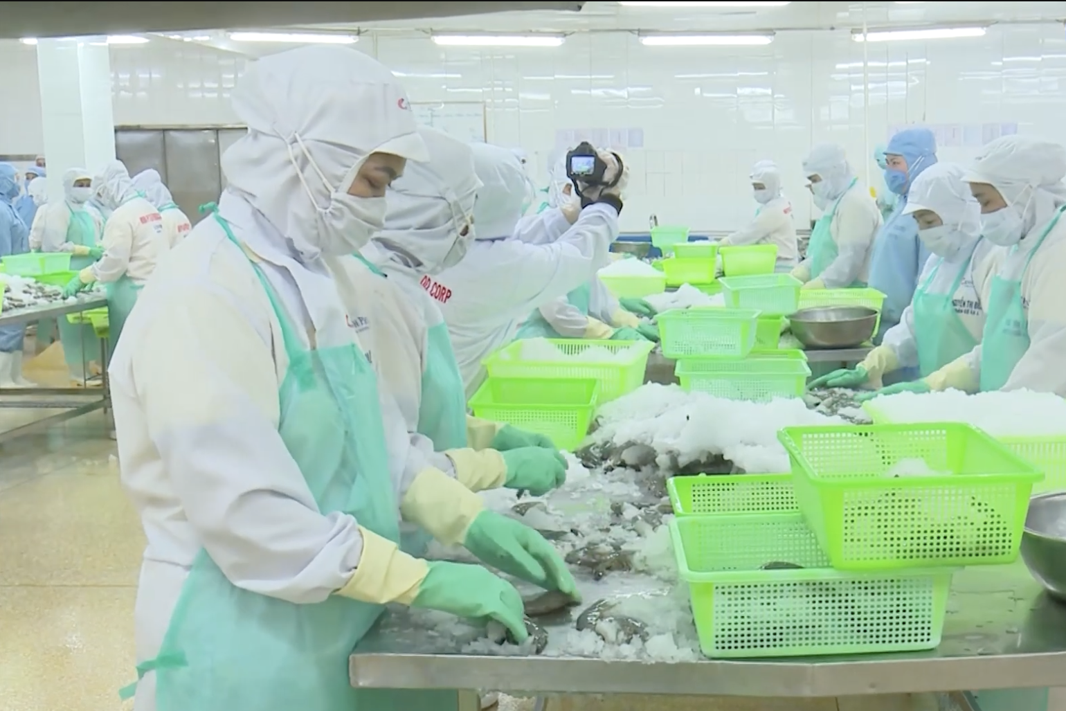 Nâng cao uy tín, vị thế tôm Cà Mau trên thị trường trong và ngoài nước