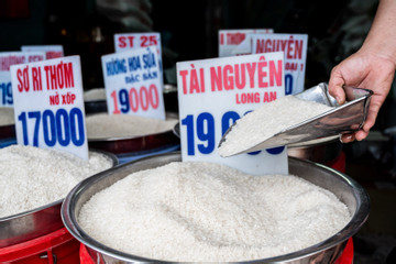 Thương hiệu gạo Việt Nam khẳng định vị thế trên thị trường toàn cầu