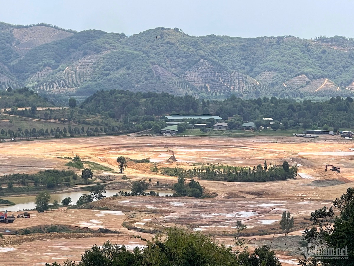 W-dua-ngua-2.jpg