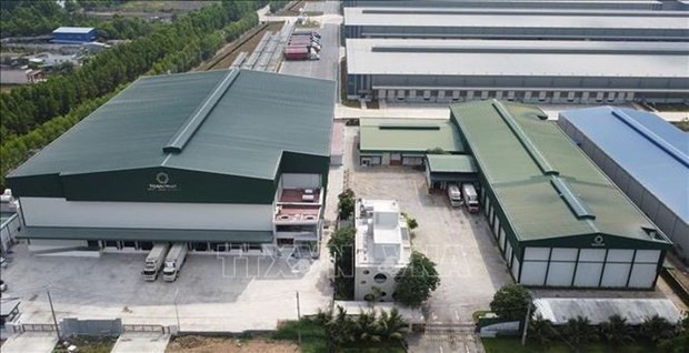 Ample room remains for cold storage market to grow further: experts hinh anh 1
