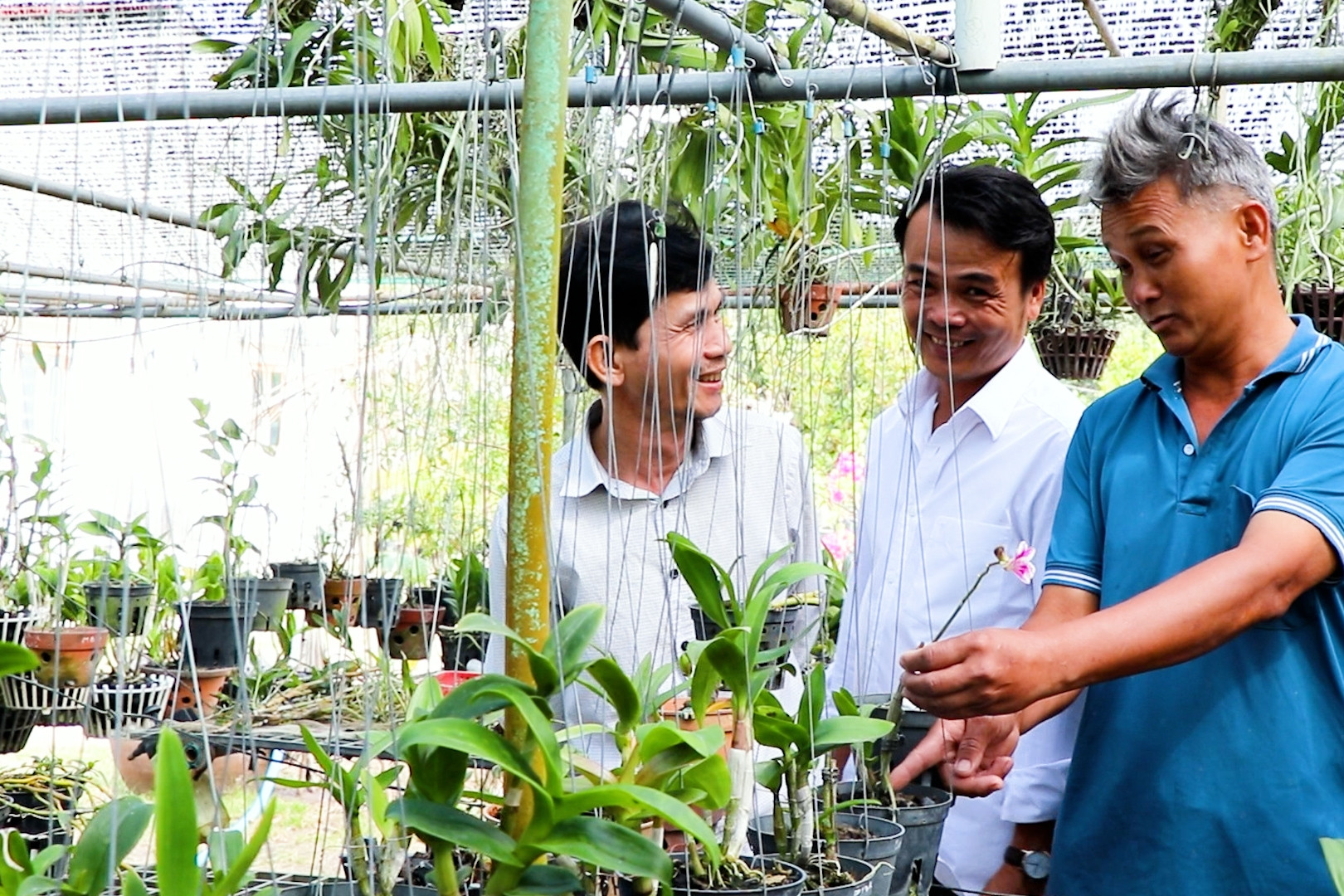 Bà Rịa - Vũng Tàu: Phát huy hiệu quả mô hình kinh tế tập thể