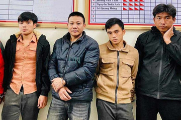 Khởi tố nhóm đối tượng cưa trộm hơn 40 tấn keo ở Quảng Bình