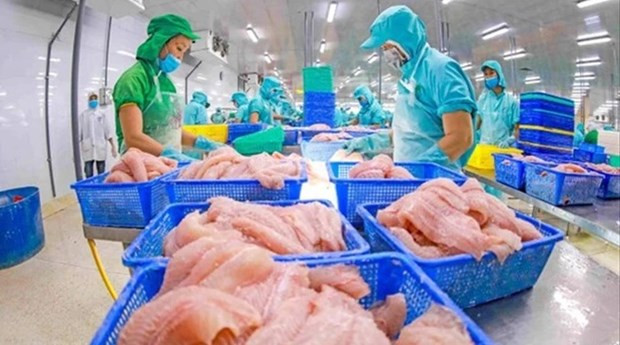 Aquaculture exports hoped to reach 9.5 billion USD in 2024 hinh anh 1