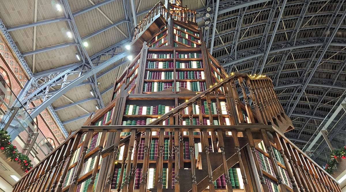 Cây thông này được ví như một "thư viện khổng lồ".